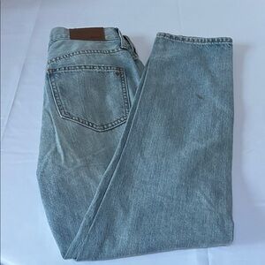 Madewell the Perfect Vintage Jean